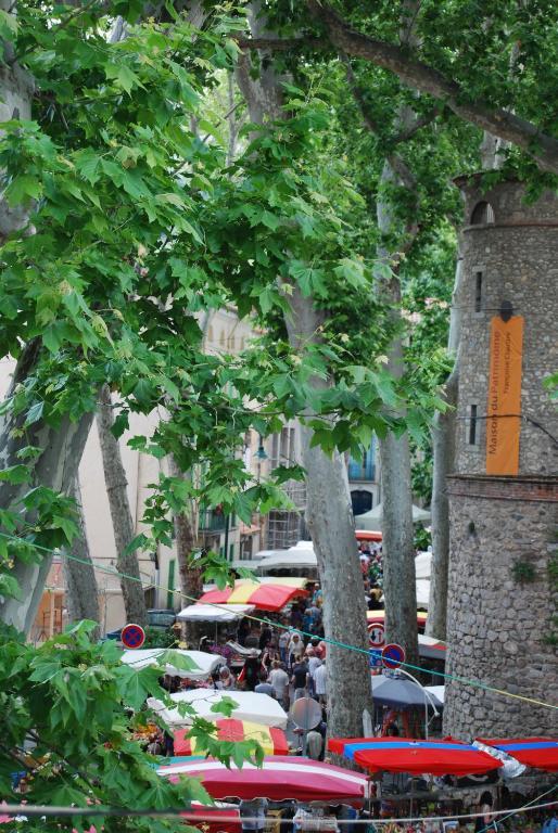 Hotel Vidal Céret Exterior foto